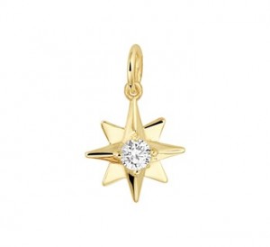 14 karaat goud / zirkonia