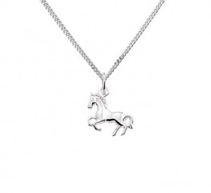 925 sterling zilver